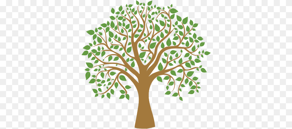 Download Tree Graphic Tree Clipart, Oak, Plant, Potted Plant, Tree Trunk Free Png
