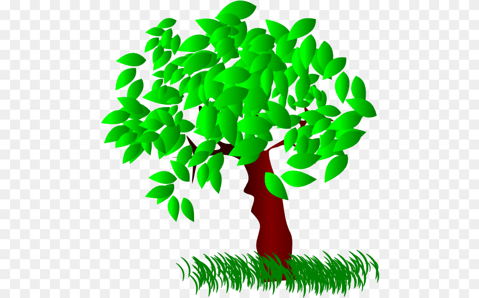 Download Tree Large Leaves Clip Art Tree Trees With Leaves Clipart, Green, Plant, Potted Plant, Leaf Png