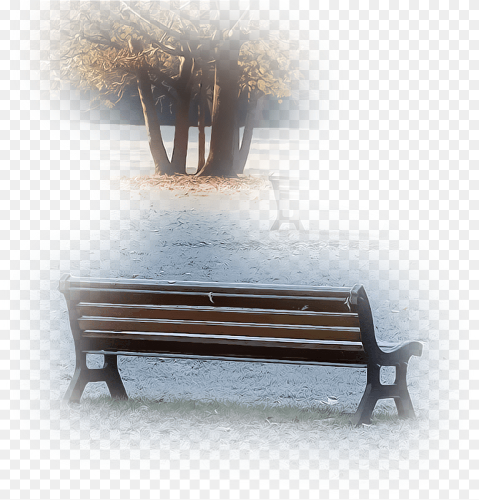 Download Tree Park Bench Garden Field Nature Foreground Bench, Furniture, Park Bench Png