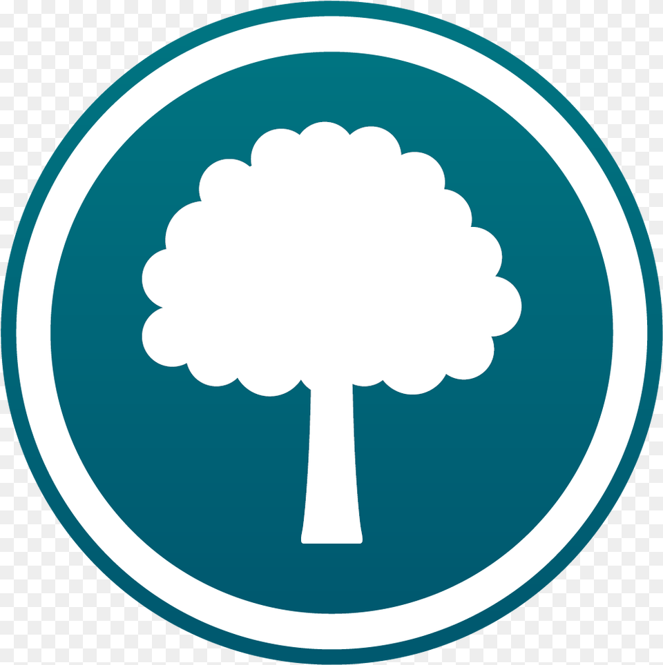 Download Tree Program Icon Blue Transparent Tree Icon, Disk Png