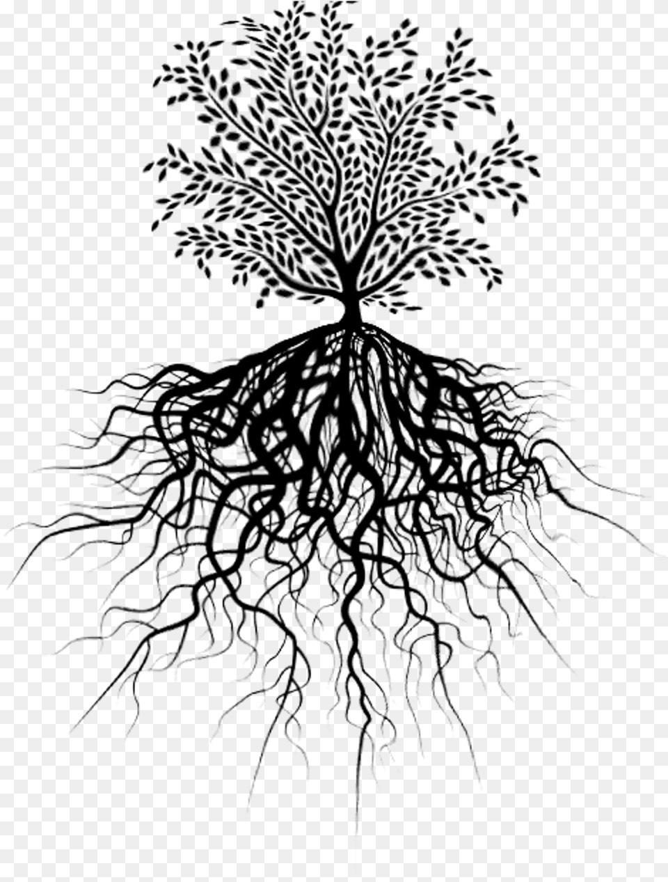 Tree Roots Tree Root, Art, Drawing, Plant Free Png Download
