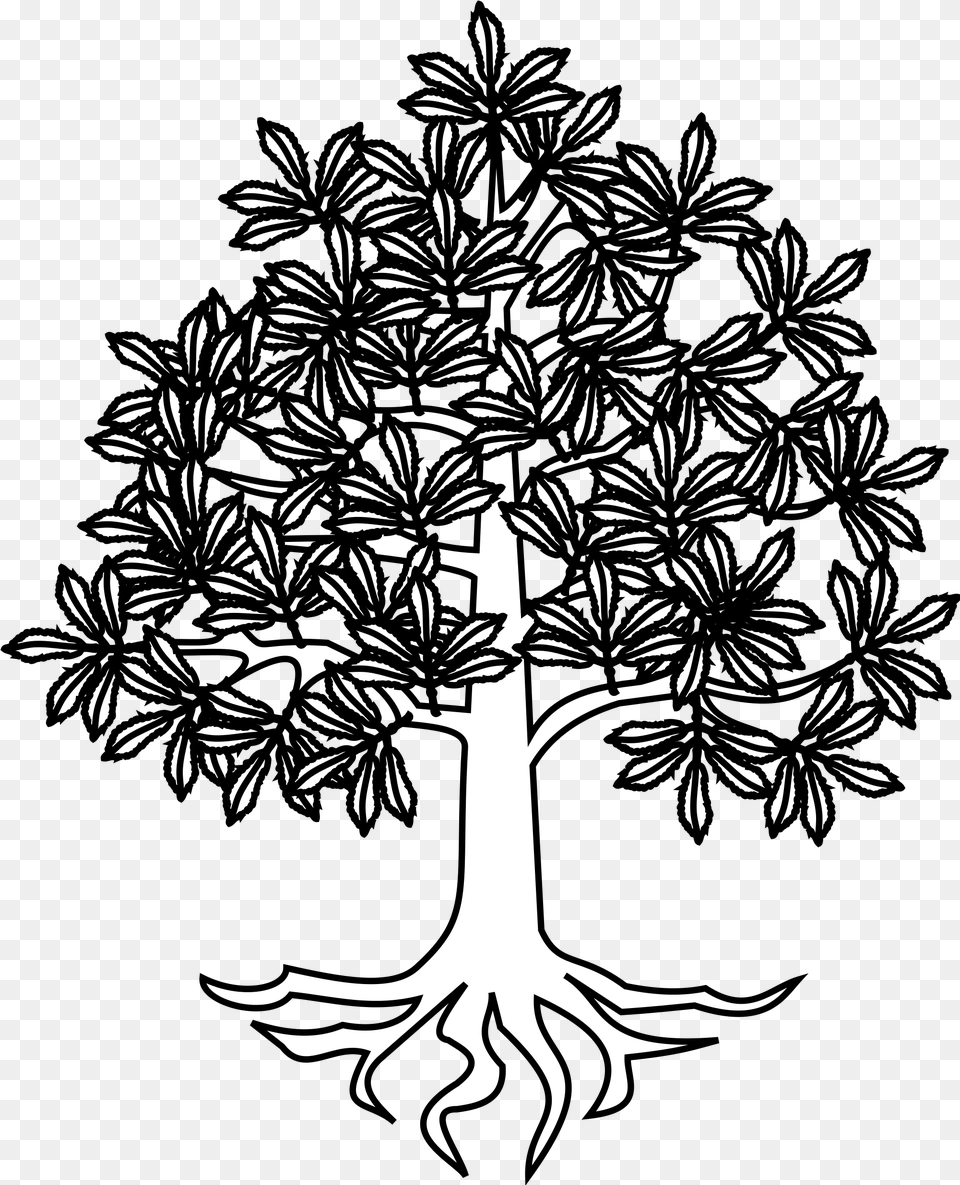 Download Tree Roots Vector Chtaignier Hraldique, Stencil, Art, Plant, Drawing Free Png