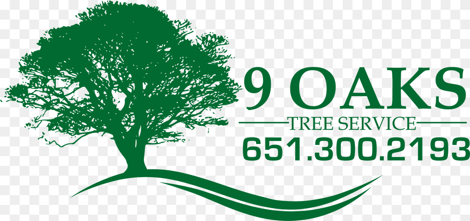 Download Tree Service Woodbury Mn Green Oak Tree Background Oak Tree Plant, Vegetation Free Transparent Png