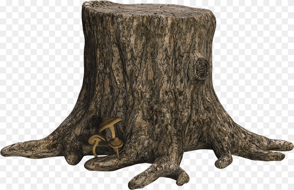 Tree Stump Image With Transparent Tree Stump, Plant, Tree Stump, Fungus, Animal Free Png Download