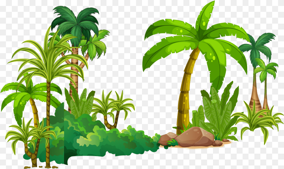Download Tree Tropical Rainforest Tropical Rainforest Trees Cartoon, Jungle, Land, Nature, Outdoors Free Png