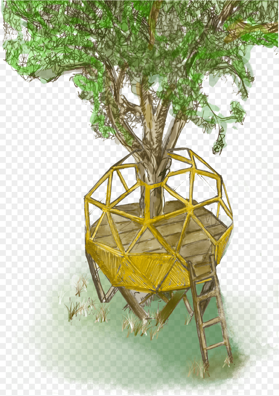 Download Treehouse Image With No Tree House, Architecture, Tree House, Housing, Green Free Transparent Png