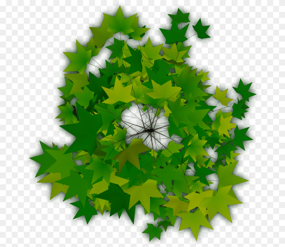 Download Trees Plan Top View Of Tree Icon, Plant, Green, Leaf, Pattern Png Image
