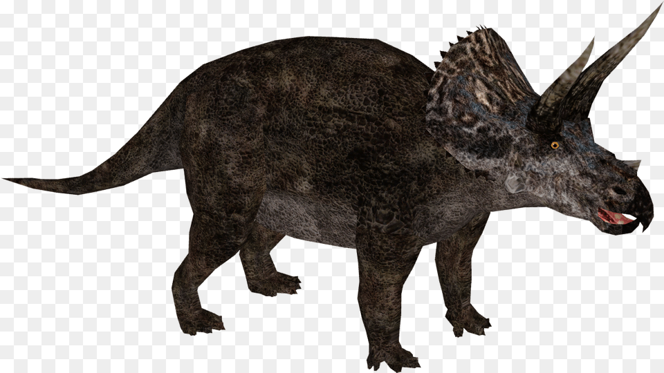 Download Triceratop Extinct Animals Animal, Dinosaur, Reptile Free Transparent Png