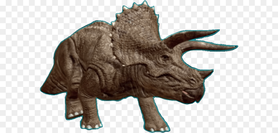 Download Triceratops Img Triceratops Jurassic World Animal Figure, Dinosaur, Reptile, Bear, Mammal Free Transparent Png
