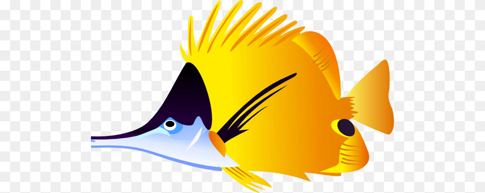 Download Tropical Fish Clipart, Animal, Sea Life, Angelfish, Bird Free Png