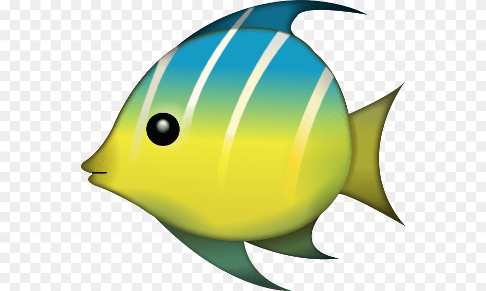 Download Tropical Fish Emoji In Emoji Island, Angelfish, Animal, Sea Life, Clothing Png Image