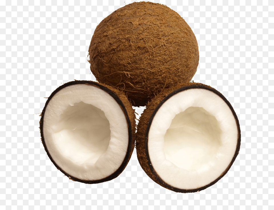 Download Tropical Fruit Coconut Fruit, Food, Plant, Produce Png Image