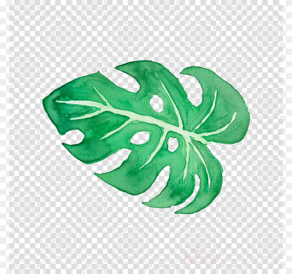 Tropical Leaf Watercolor Clipart Tropics Tropical Watercolor Clipart, Plant, Food, Produce, Animal Free Png Download