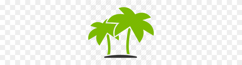 Download Tropics Icon Clipart Computer Icons Tropics Coconut, Leaf, Plant, Tree, Vegetation Free Transparent Png