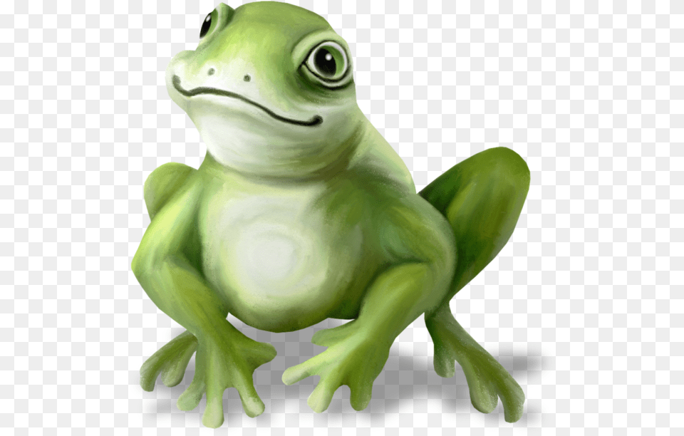 Download Tubes Grenouilles Crown Gnomes Frog Pictures Prince Frog Drawing, Amphibian, Animal, Wildlife, Bird Png Image