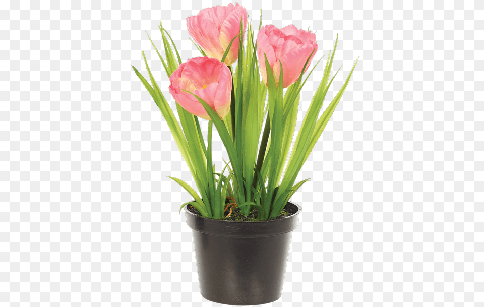 Download Tulip Bush In Planter Pink Artificial Flower Tulipa Humilis, Flower Arrangement, Plant, Potted Plant, Flower Bouquet Free Transparent Png