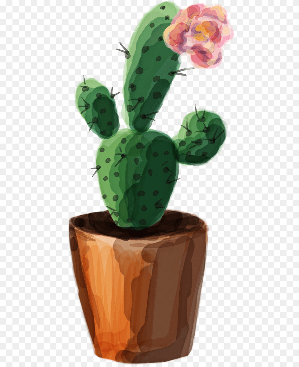 Download Tumblr Cactus Transparent Watercolor Cactus, Plant, Potted Plant, Baby, Person Free Png