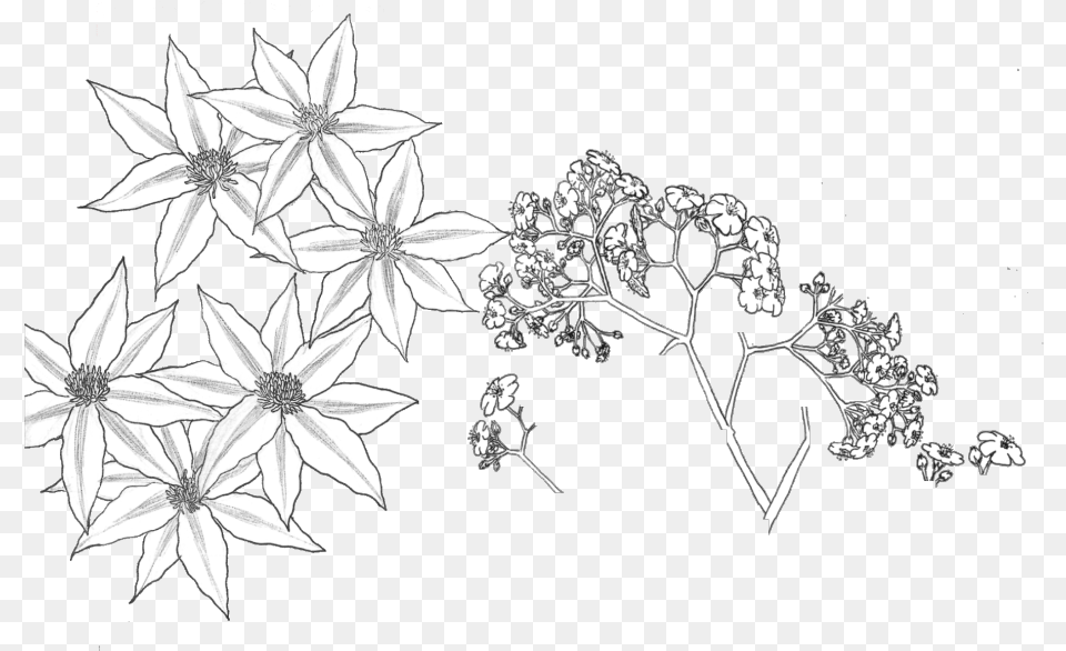 Download Tumblr Transparent Flower Flowar Parttern Transparent Background White, Art, Floral Design, Graphics, Pattern Free Png
