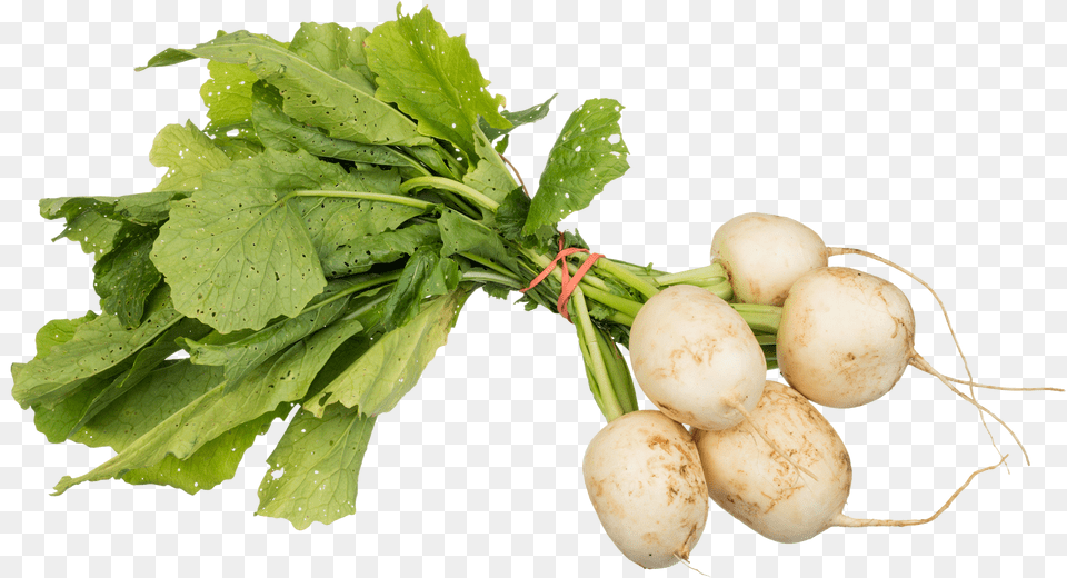 Download Turnips Image For Turnips, Food, Produce, Plant, Radish Free Transparent Png