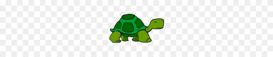 Download Turtle Category Clipart And Icons Freepngclipart, Animal, Reptile, Sea Life, Tortoise Png Image