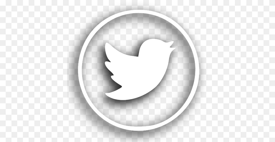 Download Twitter Blanco Facebook Logo Blanco, Stencil, Astronomy, Moon, Nature Png Image