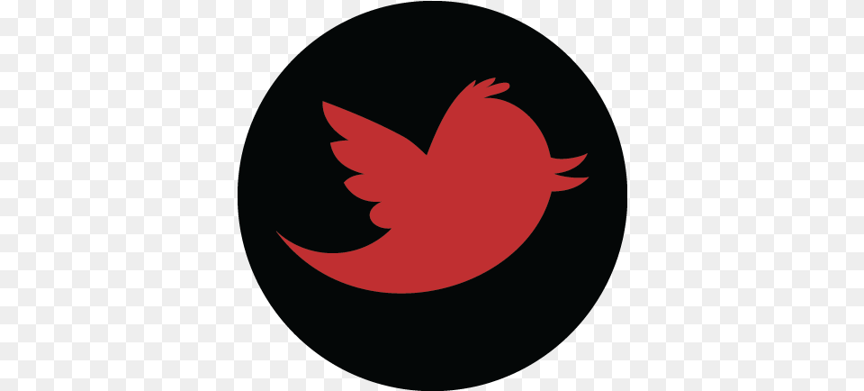 Download Twitter Icon Twitter Social Media, Logo, Leaf, Plant, Animal Png Image