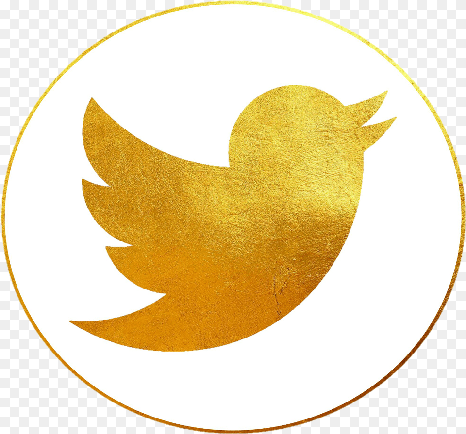 Download Twitter Logo Vector White Image With No Emblem, Leaf, Plant, Gold, Disk Free Png