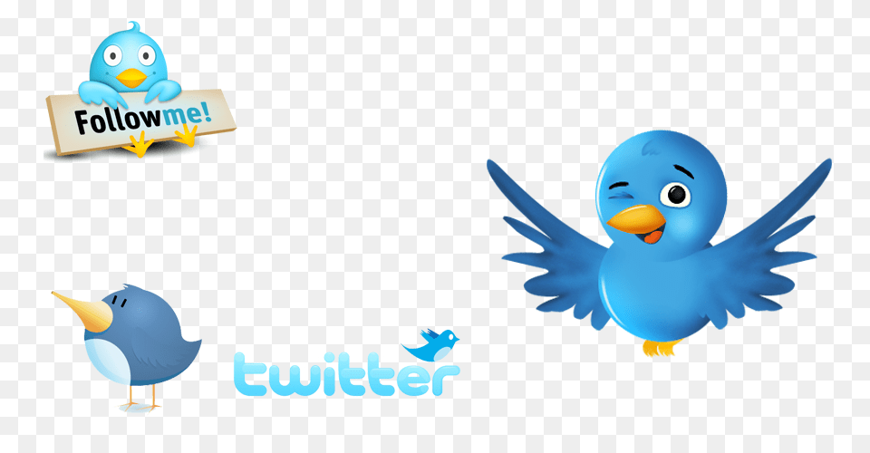 Download Twitter Logos Cute Bird Transparent Background Follow Me On Twitter, Animal, Beak, Jay, Baby Free Png