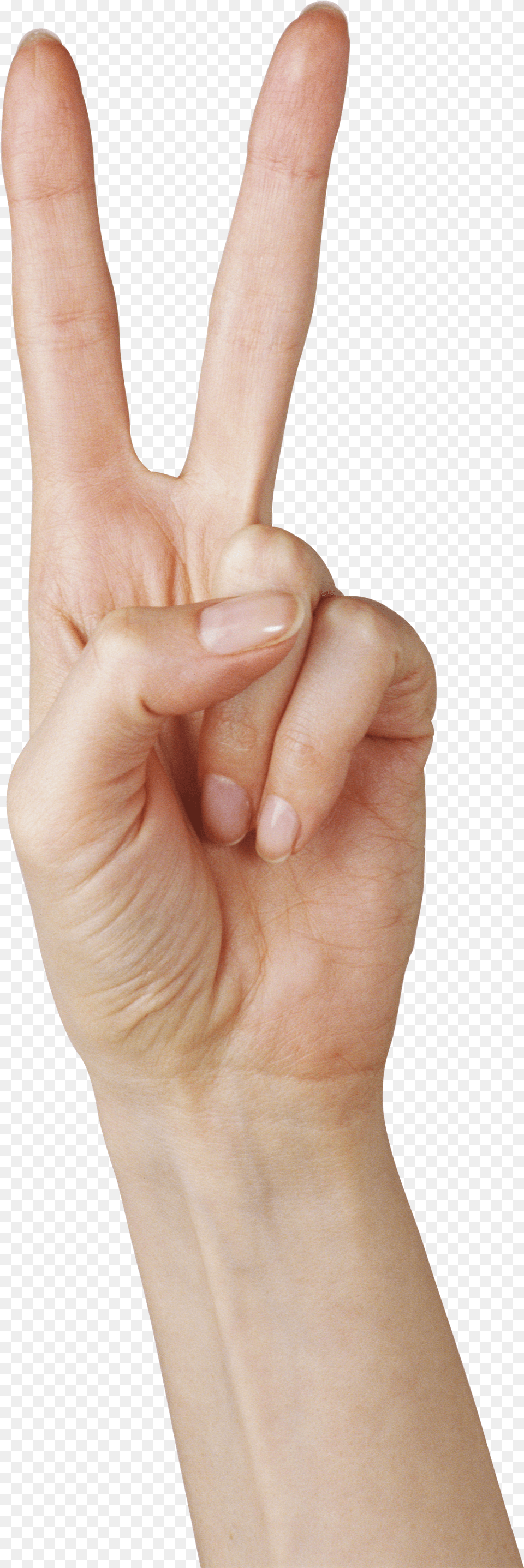 Download Two Finger Hand Image For Hand Peace And Love, Body Part, Person, Adult, Female Png