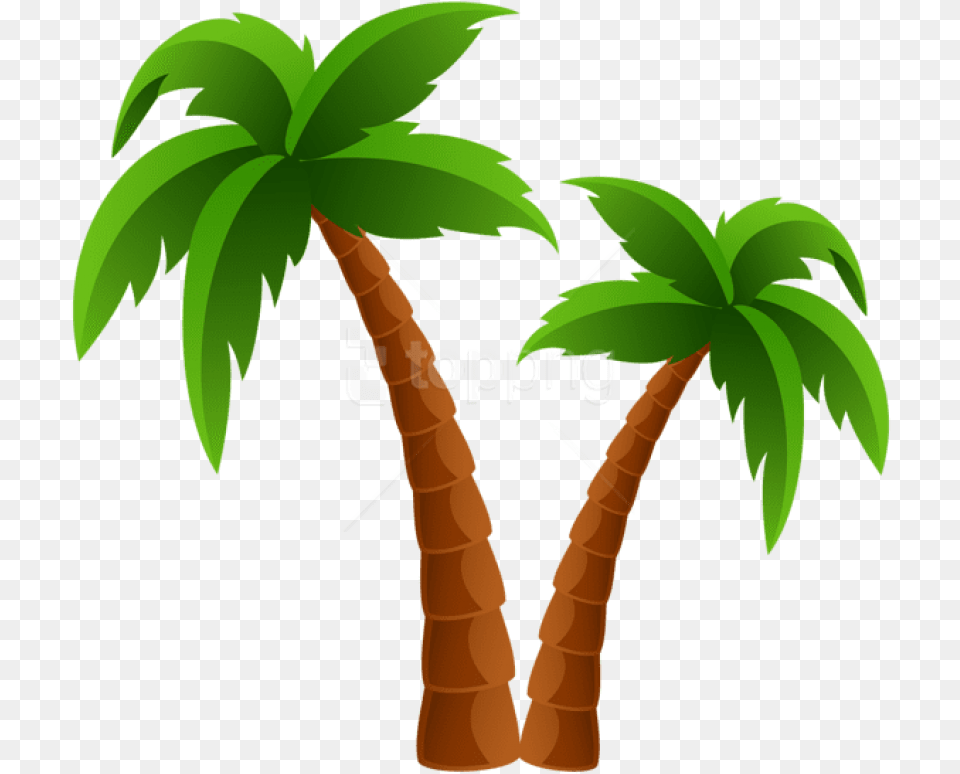 Download Two Palm Trees Images Background Palm Tree Clipart, Palm Tree, Plant, Person Free Png