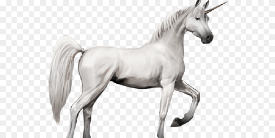Download Unicorn Transparent Horse With Wings 5 Animals Combined Into One, Andalusian Horse, Animal, Mammal, Stallion Png