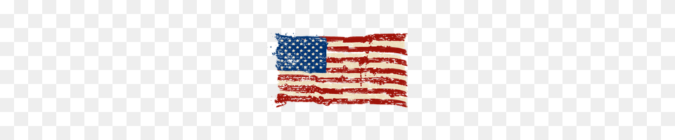 Usa Photo And Clipart Freepngimg, American Flag, Flag, Person Free Png Download