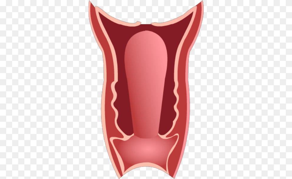 Download Vagina Illustration, Body Part, Mouth, Person, Tongue Free Png
