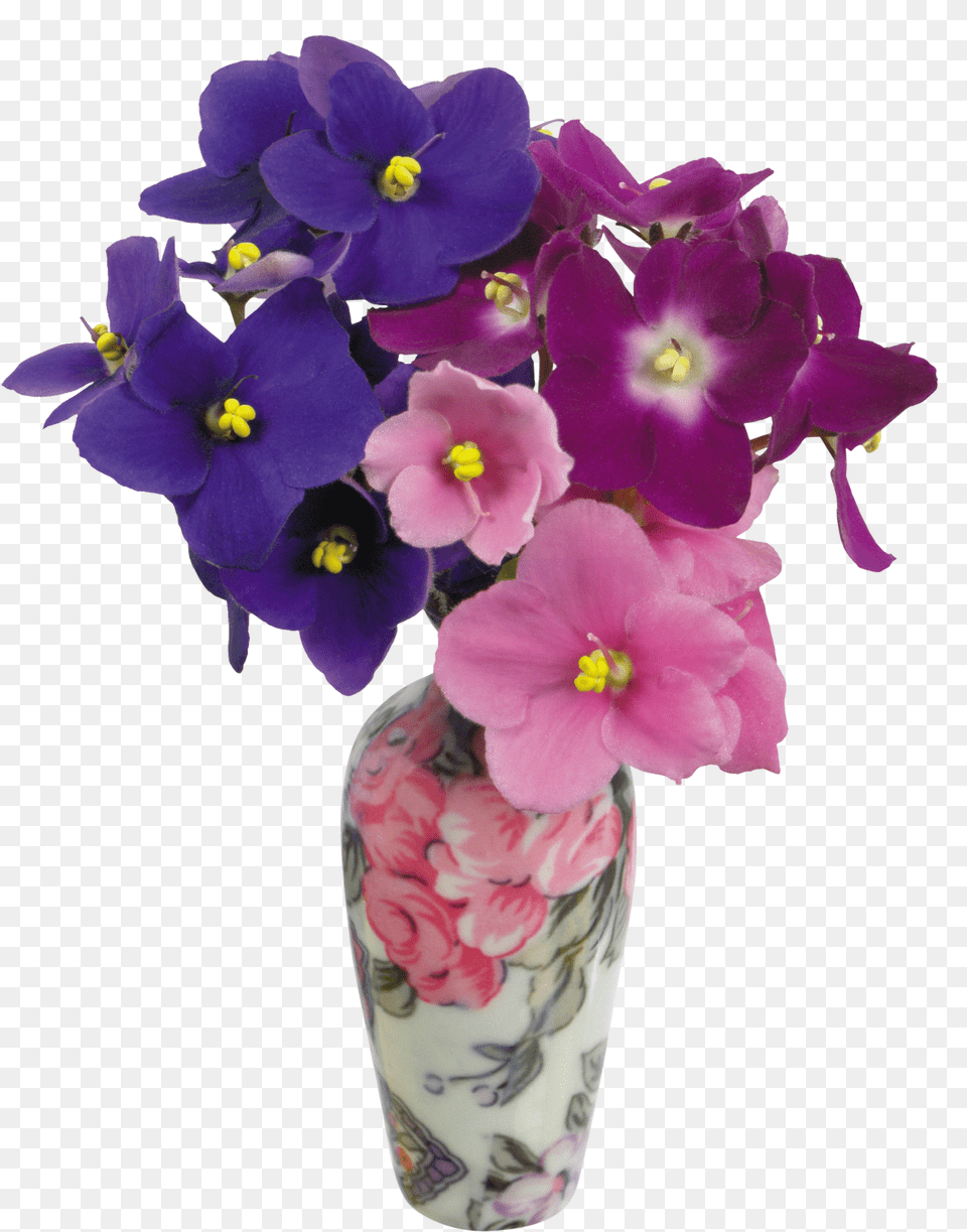 Download Vase For Flower Color Violet In A Vase, Flower Arrangement, Flower Bouquet, Geranium, Pottery Png Image