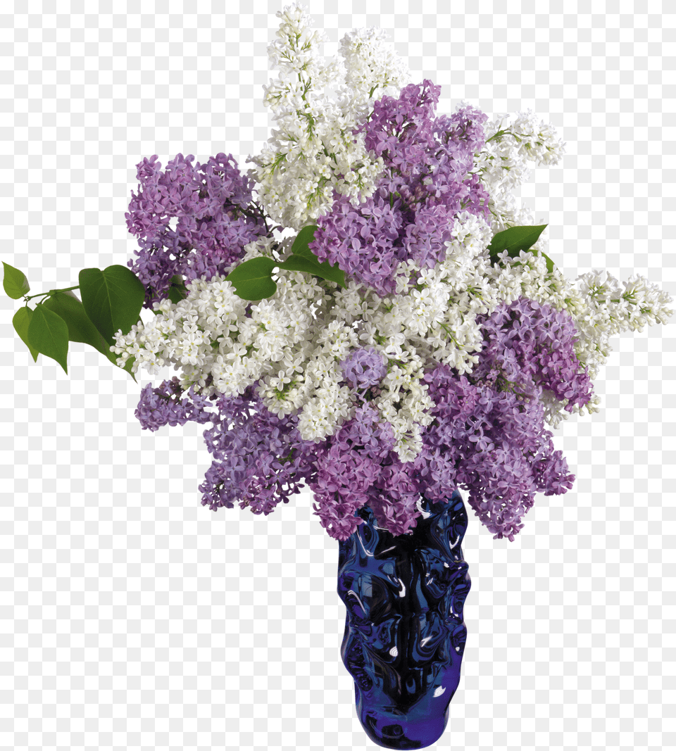 Download Vase For Free Free Flower Vase, Plant, Flower Arrangement, Lilac, Flower Bouquet Png Image