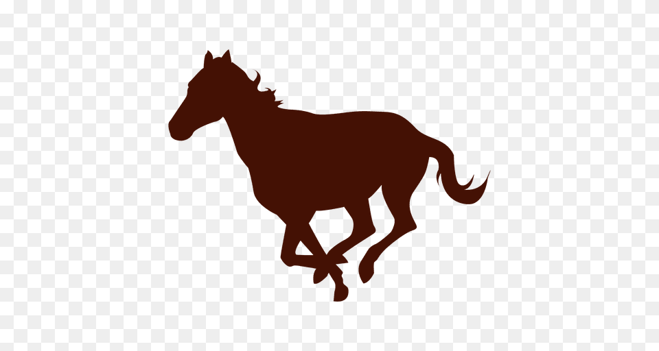 Download Vector, Animal, Colt Horse, Horse, Mammal Png