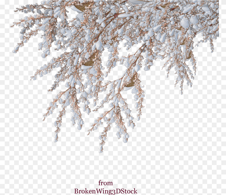 Vector Snow Winter Shrub Tree Snow Tree Branches, Ice, Nature, Outdoors, Weather Free Png Download