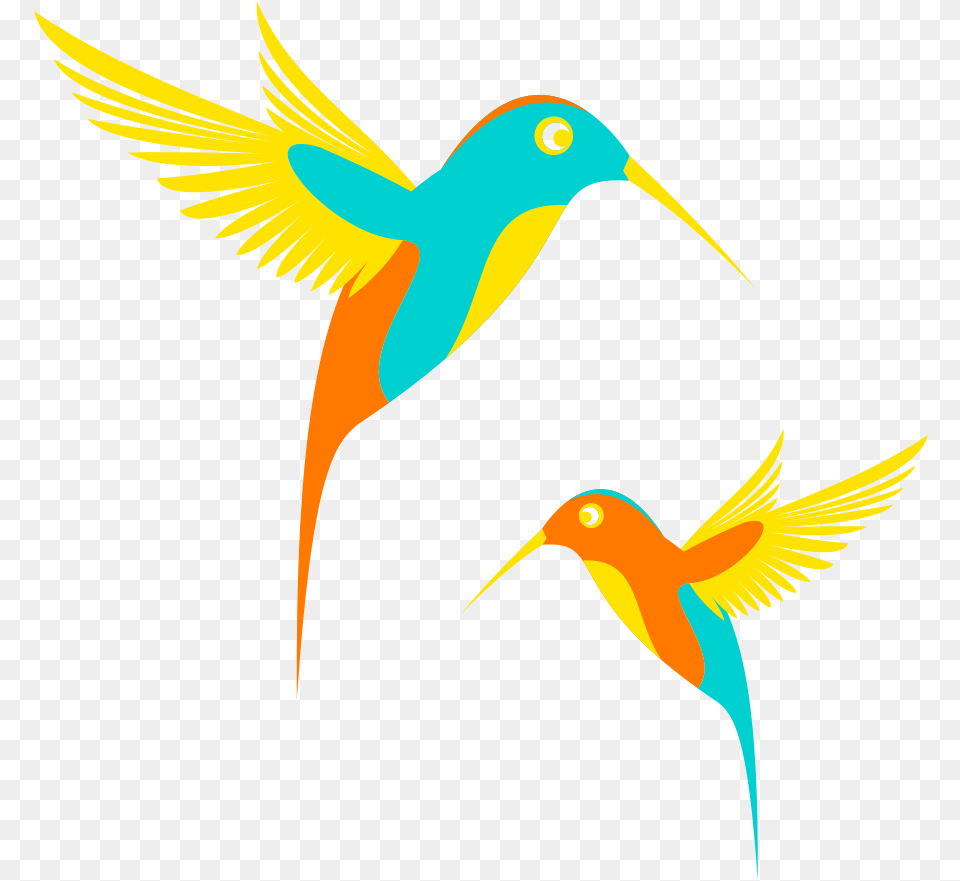 Download Vector Transparent Images Icons And Bird Vector Gif, Animal, Beak, Bee Eater, Flying Png