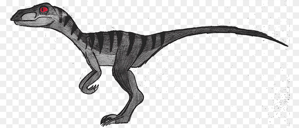 Download Velociraptor Drawing Clipart Velociraptor Drawing Clip, Animal, Dinosaur, Reptile, T-rex Png Image