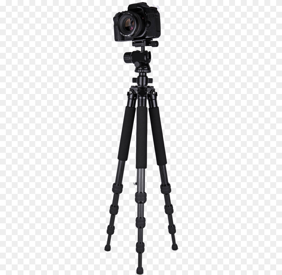 Download Video Camera Tripod Image For Designing Camera On Tripod, Electronics Free Png
