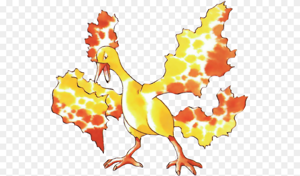 Download View Moltres Rb Moltres Pokemon Red, Animal, Bird, Chicken, Fowl Png Image