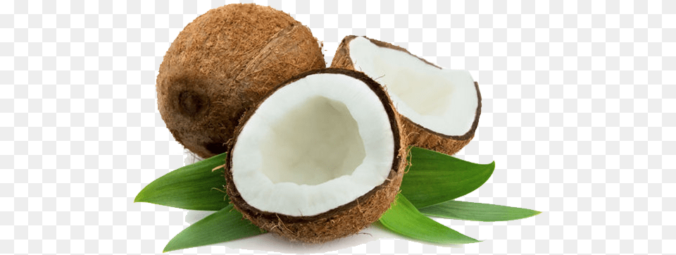 Download Virgin Coconut Oil Vitamin E And Coconut Oil For Hair, Food, Fruit, Plant, Produce Free Png