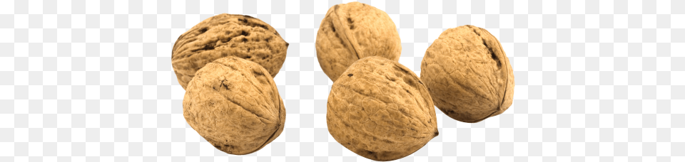 Download Walnut Image Walnut, Nut, Food, Vegetable, Produce Free Png