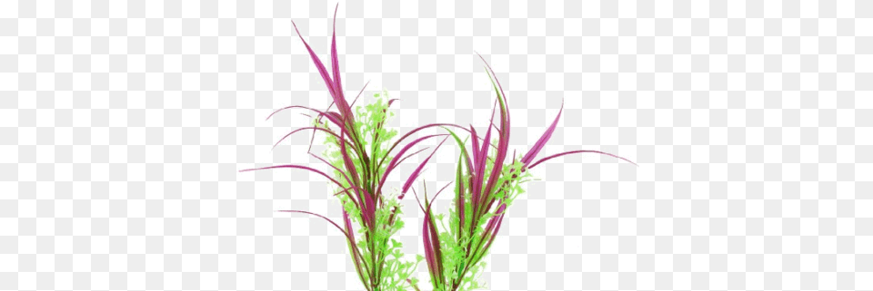 Download Water Grass With No Background Artificial Aquarium Plant, Art, Floral Design, Graphics, Pattern Png Image