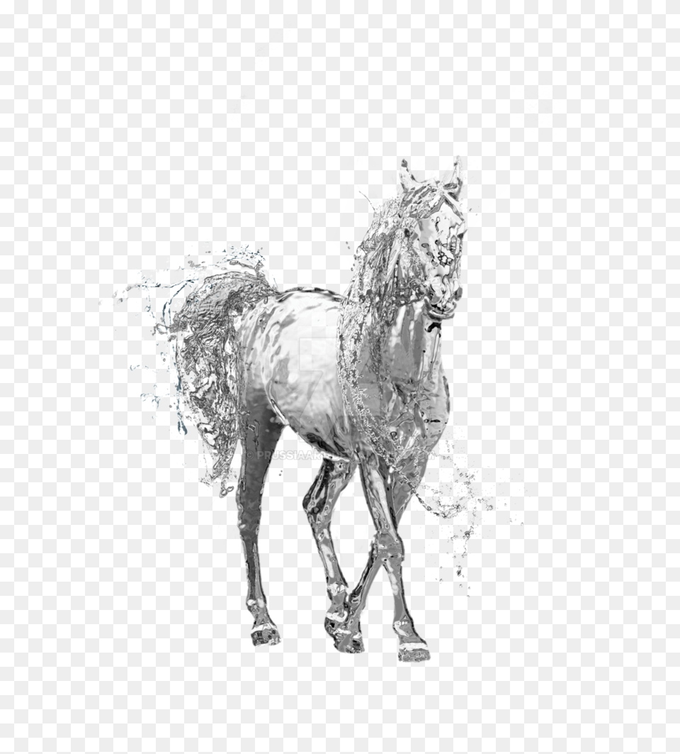 Download Water Horse Transparent Water Water Horse, Art, Animal, Mammal Free Png