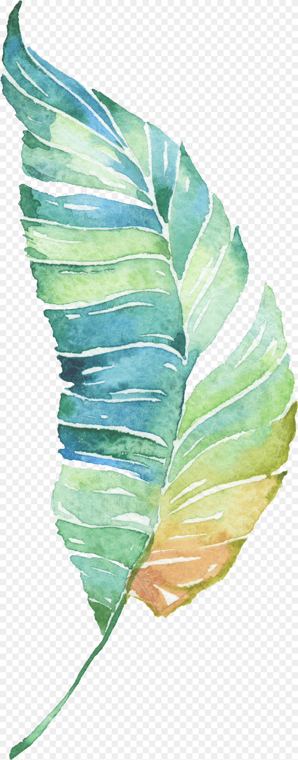 Download Water Painted Leaves Green Hd Image Free Green Water Painting Png