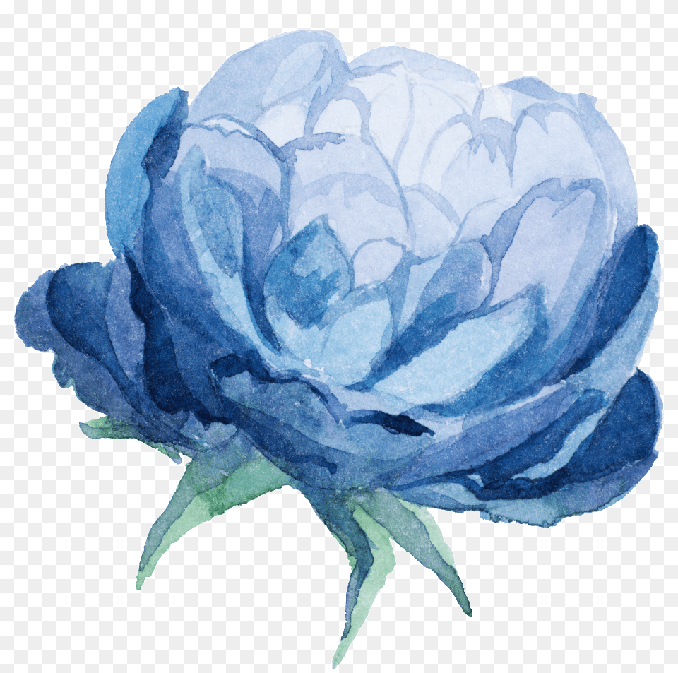 Download Watercolor Blue Flower Blue Watercolour Flower, Plant, Rose, Ice, Dahlia Png Image