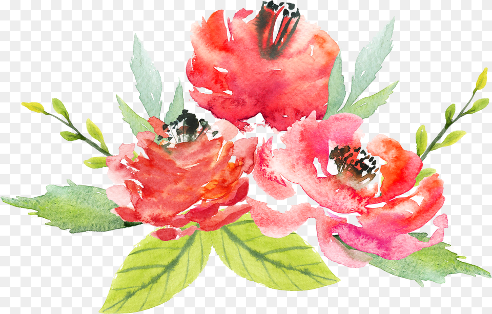 Download Watercolor Floral Bouquet Watercolor Red Water Color Red Flower Png Image