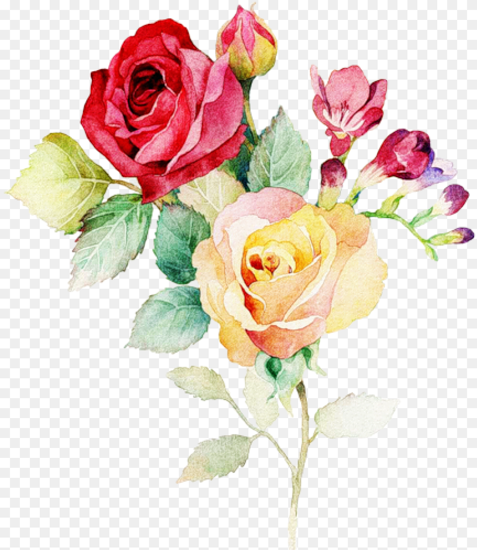 Download Watercolor Flower Bouquet Watercolor Rose Bouquet Painting, Flower Arrangement, Plant, Flower Bouquet, Art Png