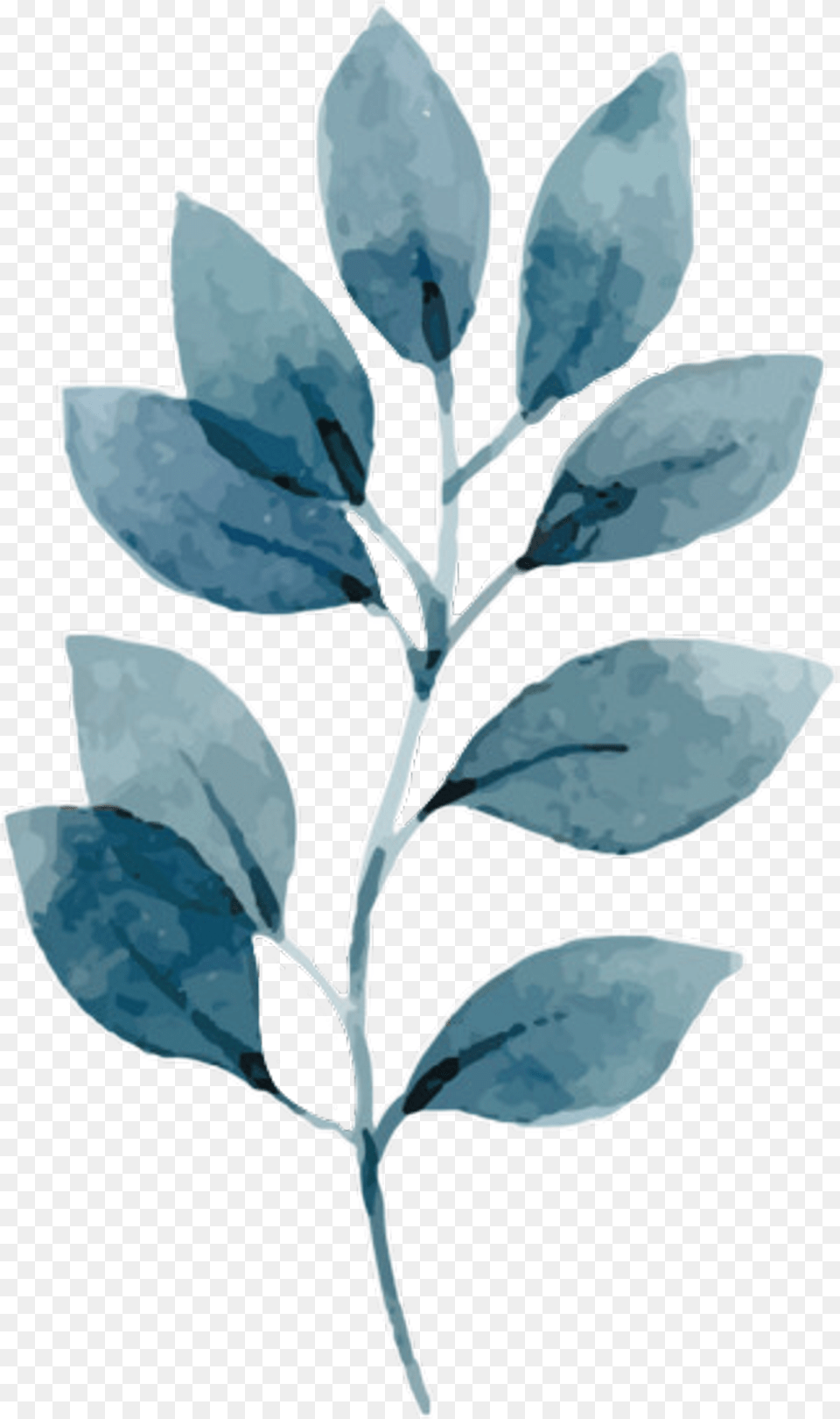 Download Watercolor Leaves Watercolour Tropical Leaves Leaf, Plant, Ice, Herbs, Herbal Free Transparent Png